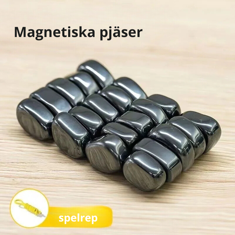 Magnetiskt schackspel för alla åldrar