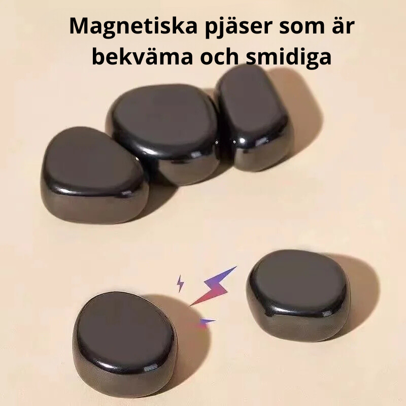 Magnetiskt schackspel för alla åldrar