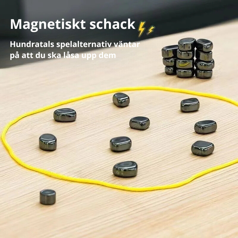 Magnetiskt schackspel för alla åldrar